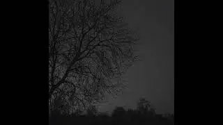 Aureli &mdash; Я люблю тебя