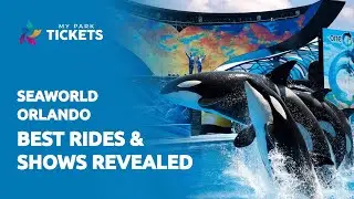 From Dolphins to Coasters: SeaWorld Orlando Experience