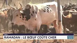 Ramadan : Le bœuf coûte cher au Mali
