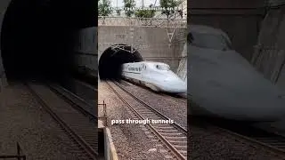 Japanese Bullet Train Has Long Nose #shorts