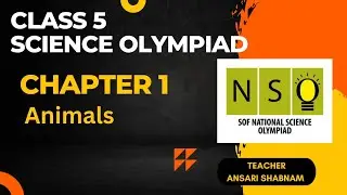 CLASS 5 NSO | Science Olympiad chapter 1 Animals