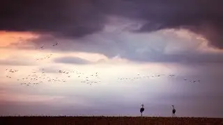Eric Rigo - Flight Of The Birds (Owen Ear Remix) [Silk Music]