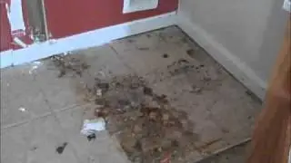 Atlanta Foreclosure - Trashed