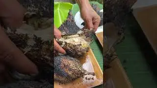 EPIC Catch & Cook: Grilling 4 FRESH Fish Over Open Fire! 🐟🔥 (From River to Plate!)