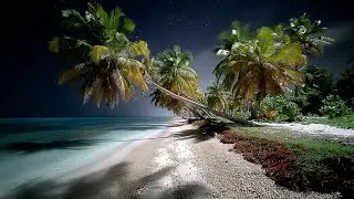 Sleep Stream | Beach Night Ambience 🌙 | Gentle Waves & Ambient Music (LIVE 24/7) (1)