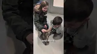 Humane Society of Utah - More Than a Shelter