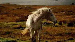 a slideshow of Connamara Co Galway Ireland part 1 Ireland By Damien Burke