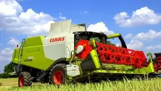 Zniwa 2014 - Harvest Raps - Claas Lexion 650 John Deere 6630