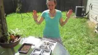 Seeds for kids
