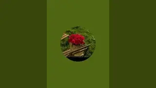 بدأت قناة 
