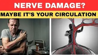 SENIORS: Your BLOOD SUGAR Affects Your Circulation More Than You Know!