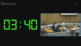 Laura Lindberg 2023 Toronto City Budget Deputation