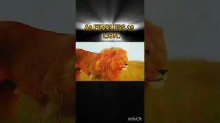 Be fearless as Lion and proud as Me #motivational #song #hindu