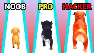 Dog Evolution Run || Upgrade Max Level Dog Noob vs Pro vs Hacker