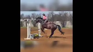 Demeester jump show/school