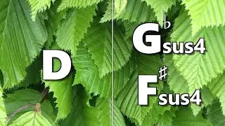 D to Gbsus4 (F#sus4) Backing Track