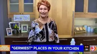 HOW TO eliminate GERMS in the KITCHEN - Queen Of Clean on TV