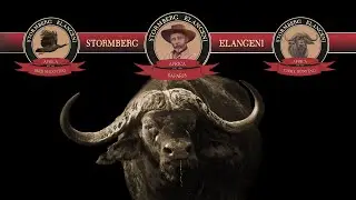 An Insight Into Stormberg Elangeni Safaris | Promo Video