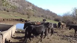 DA LI SUVA PLANINA KRIJE VODU?