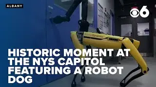 Robot dog, Spot, at the NYS Capitol to push for robotics legislation