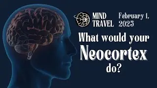 What would your neocortex do?