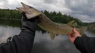 Sjösättning och lite fiske i Mälaren - Linder Arkip 460