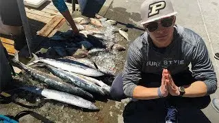 Deep Sea Fishing in The Gulf of Mexico