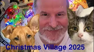 Miniature Christmas Wonderland in my living room….Will it survive Teddy the cat!!