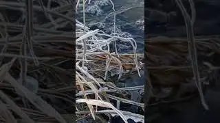 528 Hz Healing & Hang Drum Vibrations in Frozen Landscape❄️