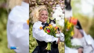 Woman Marries Her Pet Cat to Avoid Landlord&rsquo;s Pet Policy