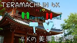 4Kの美馬市寺町 - 【徳島県美馬市】