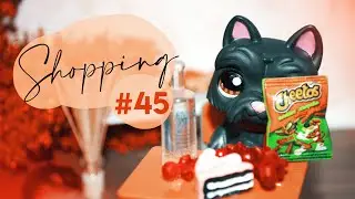 LPS: Shopping #45 | package from unfulfilled lpstuber-