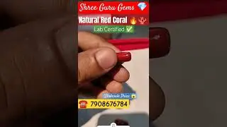 Real Red Coral??🤔| Best Quality Red Coral ( Italian) wholesale price offer 😱🔥