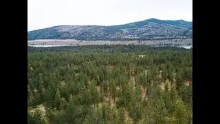 10 Acres for Sale at (South Bank)Nine Mile Falls Washington.  Spokane County $100,000