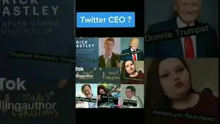 Elon Musk Resign As Twitter CEO&nbsp;Replacement