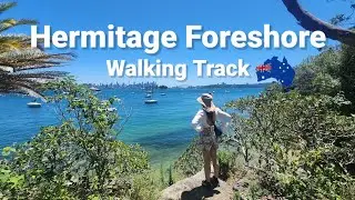 Hermitage Foreshore Track 🇦🇺 #Greycliffehouse #stricklandhouse #hiking #tracking | Traveller Me