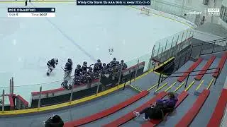 1/16/2026  - Windy City Storm 12u AAA v. Mass Spitfires 12u AAA - Mrs. Hockey Invitational