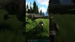 TAMEAR ANDREWSARCHUS en ARK FJORDUR #shorts