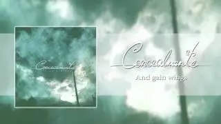Concealments 