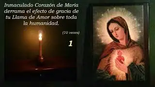 Coronilla de la Llama de Amor