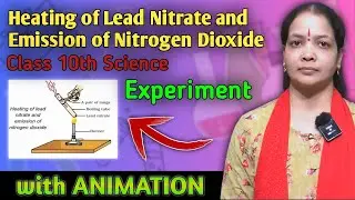 HEATING OF LEAD NITRATE AND EMISSION OF NITROGEN DIOXIDE || CLASS 10 SCIENCE EXPERIMENT