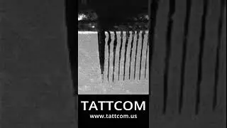 How tattoo ink enters the skin