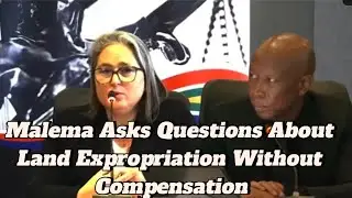 Julius Malema vs Judge Cowen Heated Debate on Land Expropriation Without Compensation