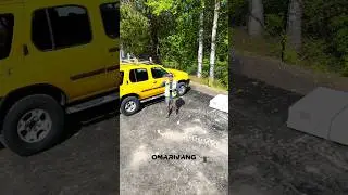 Practice makes perfect, take off & quick shot dji #drone #solarinstaller #djimini4pro #silfab #dji