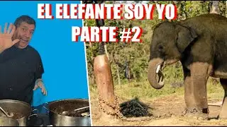 EL ELEFANTE AMARRADO DE LA PATA; ASI NOS DOMA EL SISTRMA PARTE 2