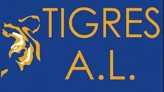 Tuzos Avante V.S. Tigres A.L.
