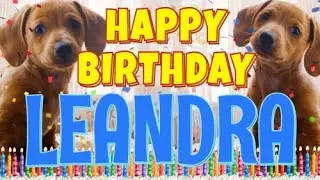 Happy Birthday Leandra! ( Funny Talking Dogs ) What Is Free On My Birthday