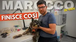 DOBBIAMO FERMARCI: il nostro cane ha bisogno di cure - MAROCCO ON THE ROAD