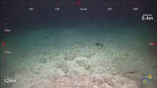 ROV Dive 409 - Ashmore Reef Location 3 - Dive 1