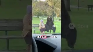 Lunchtime🥺 #bear #grandma #food #animals #lunchtime